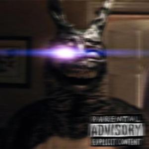 Donnie Darko (la lecon particuliere)