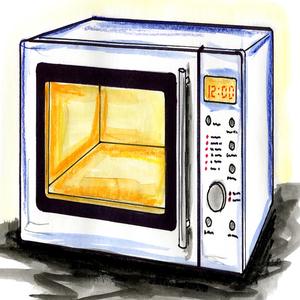 MicroWave Dinner (Freestyle)