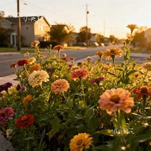 城北的花 (Cover 王宇宙Leto & 乔浚丞)