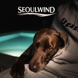 Blue (I´m Staying Here)