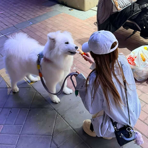 刘欣怡专属