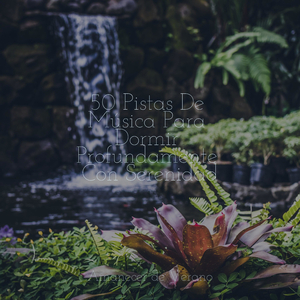 Flotando en Aguas Tranquilas