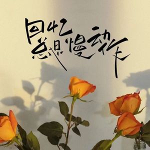 回忆总是慢动作（DJ版）