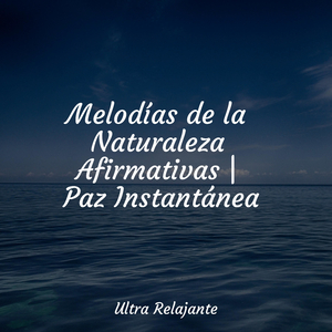 Perfección Después Del Anochecer