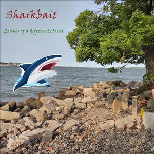 Sharkbait (Leaves Of A Different Clover)