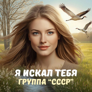 Я искал тебя