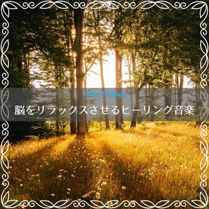 Renewing Spirit of Spring