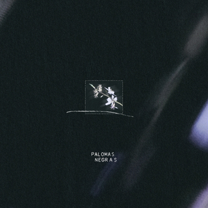 Palomas Negras