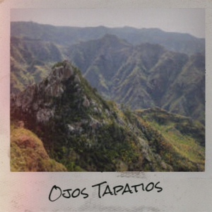 Los Salvajes Satisfaccion