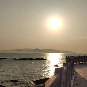 遗憾也值得（翻自 王靖雯不胖）