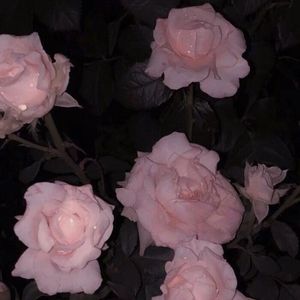 一生独一 (cover卢焱）