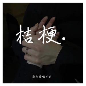 小镇姑娘(抖音女声).（翻自 你的九儿）