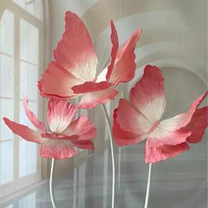 遐想（cover 郑润泽）