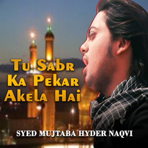 Tum Kitnay Hussaini Marogy