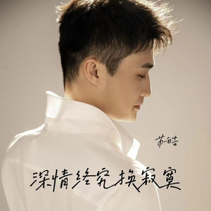 深情终究换寂寞 (伴奏)