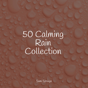 Pond, Splashing Water, Pebbles