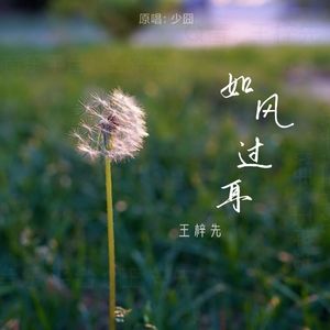 如风过耳（片段）