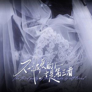 不被爱的人才是第三者