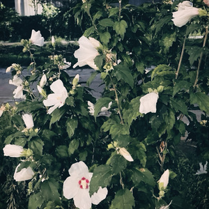 이제는 내가 지켜줄게요