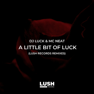 A Little Bit of Luck (Fradinho Bruk Mix)