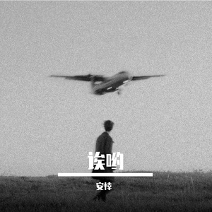 蝉鸣荷风里的夏日治愈