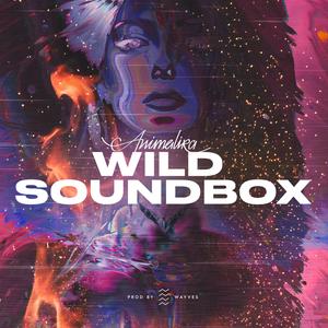 Wild Soundbox (feat. WAYVES)