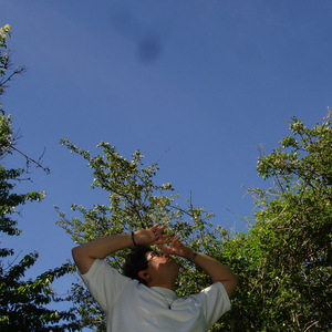 Orange Peel (feat. Charliep_production & OOYAH)