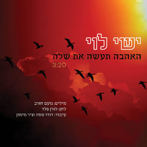 האהבה תעשה את שלה