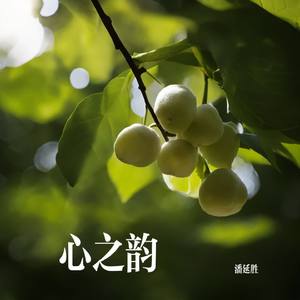 心之韵