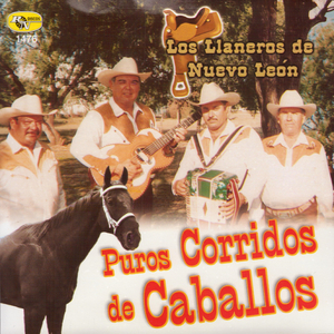 Caballo Moro Jolino