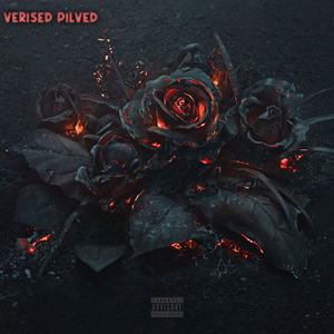 Verised Pilved