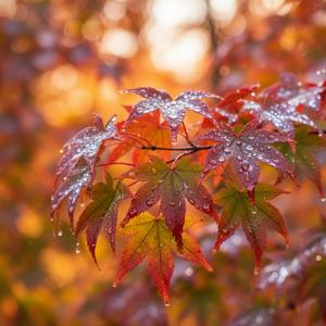 Words Left Unfinished