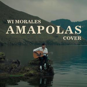 Amapolas (Acoustic)