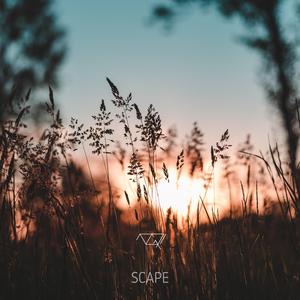 Scape