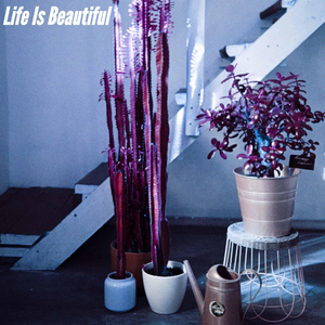 Bossa Nova Piano Duo Soundtrack for Light Silence