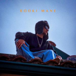 ROOKi MANE (feat. FVMOUZ)