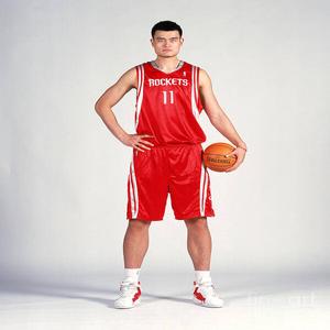 yao ming