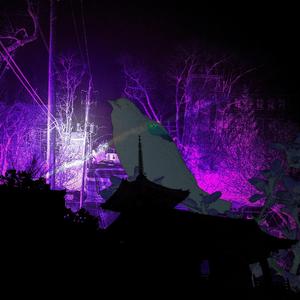 Nothing Under The Glamour