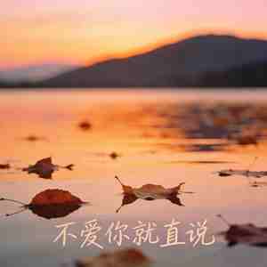 不爱你就直说