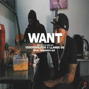 Want (feat. Llanos og)