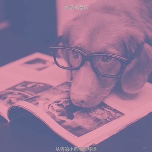 有趣孤独的狗情怀