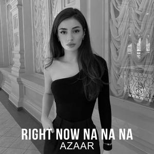 Right Now Na Na Na (Remix)