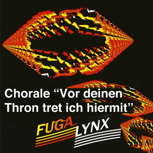 Chorale "Vor deinen Thron tret ich hiermit" - コラール「汝の御座の前に我進み出で」BWV668
