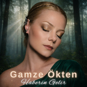 Haberin Gelir
