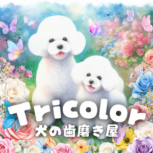 あなたに出逢うため (Instrumental)