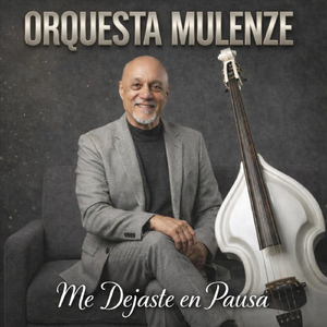 Me Dejaste En Pausa