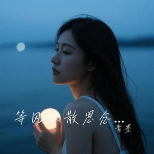 等风吹散思念 (烟嗓版) (青墨 Remix)