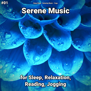 Relaxing Music Pt. 75