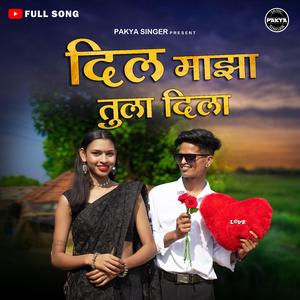 DIL MAZA TULA DILA Pakya Singer