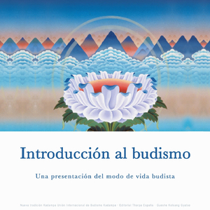 Comprensión de la Mente